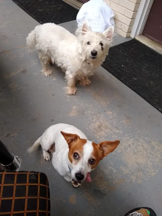 Rutherford Veterinary Hospital 10