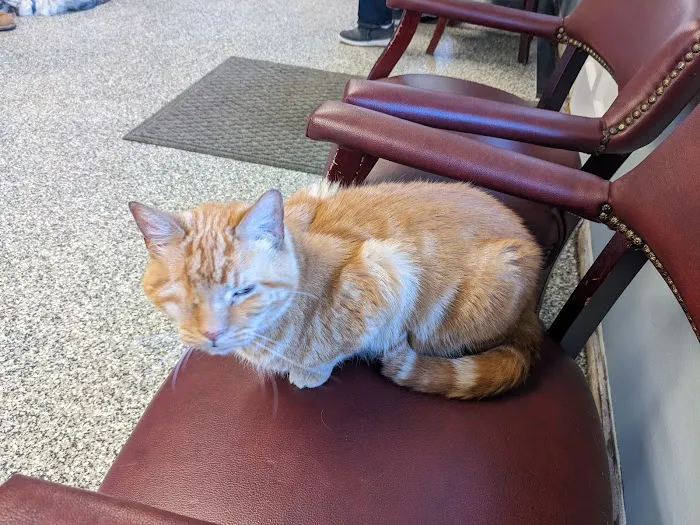 Rutherford Veterinary Hospital 5