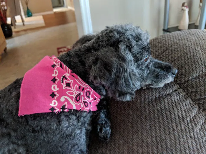Tri-City Animal Clinic 4