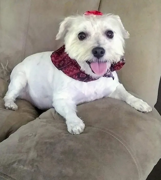 Tri-City Animal Clinic 3