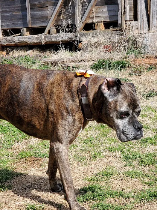 Tri-City Animal Clinic 7