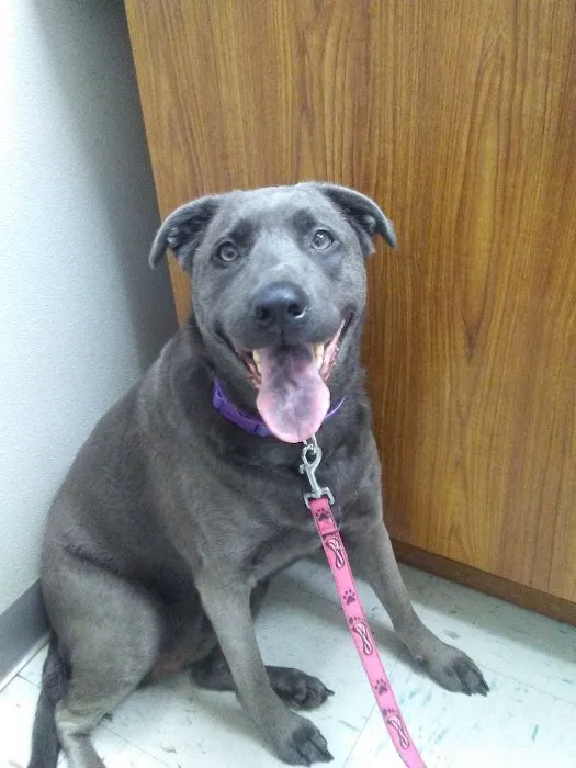 Tri-City Animal Clinic 2
