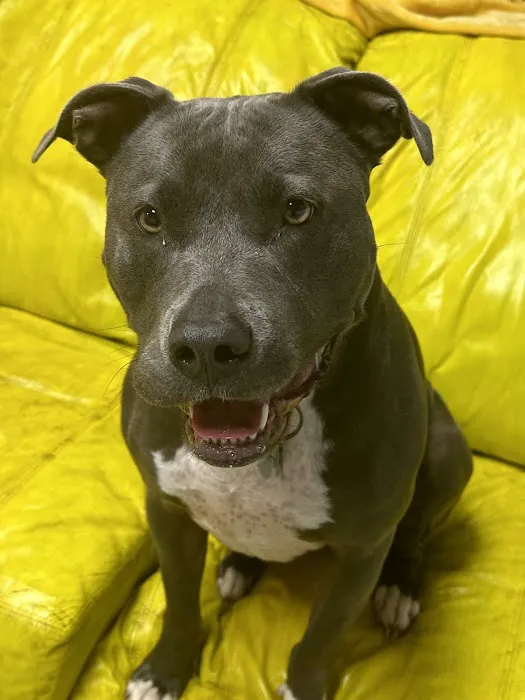 Tri-City Animal Clinic 9