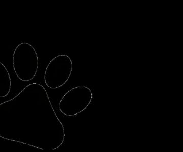 Chase Paw Treats