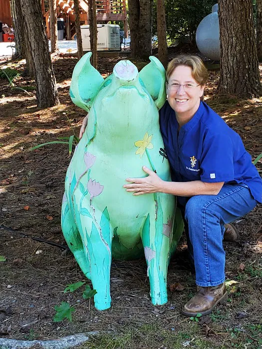 Foothills Animal Clinic 1