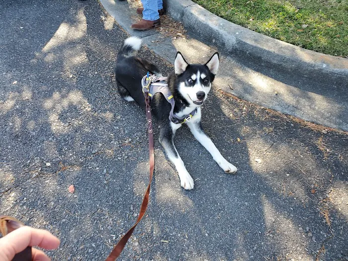 Foothills Animal Clinic 8