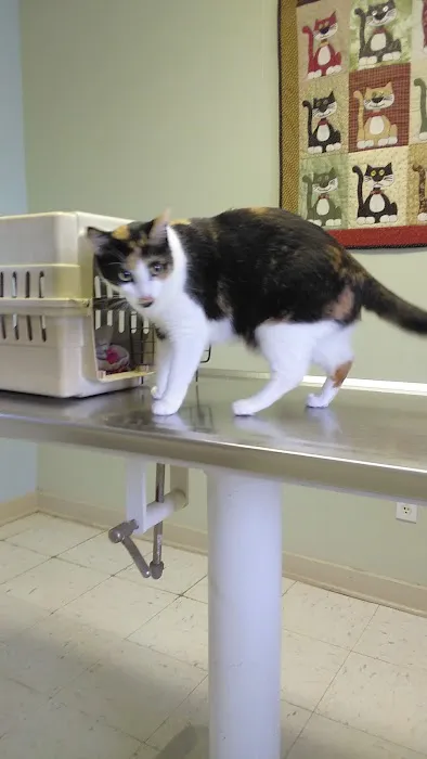 Foothills Animal Clinic 3