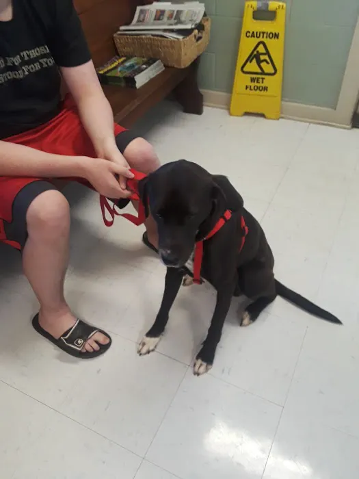 Forest City Animal Hospital 9