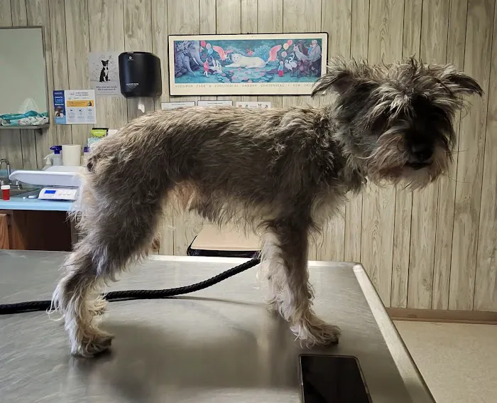 Forest City Animal Hospital 5