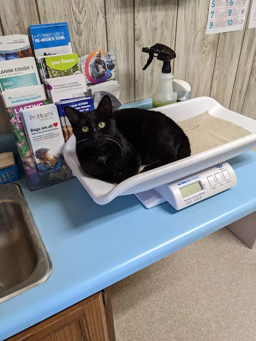 Forest City Animal Hospital 7
