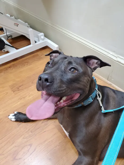 Paws & Purrs Animal Clinic Inc 12