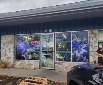 The Premium Aquarium