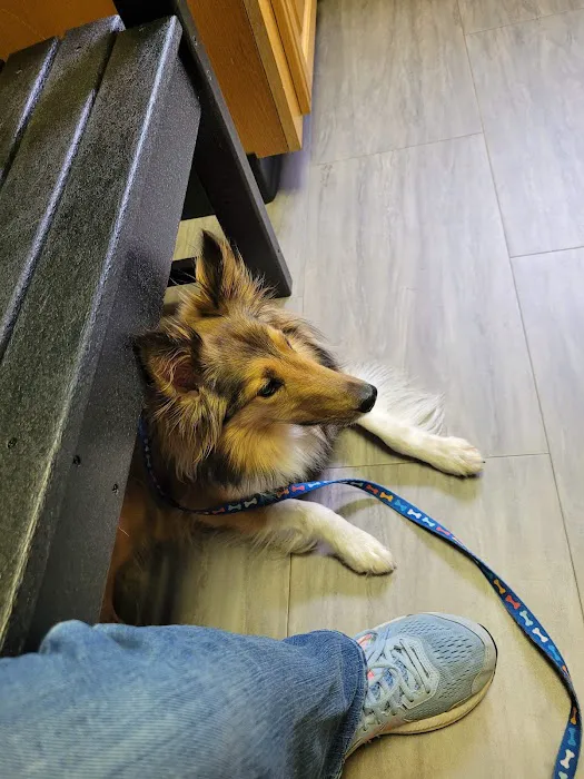 Spartanburg Animal Clinic 12