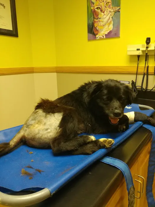 Spartanburg Animal Clinic 12
