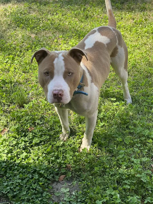 Walnut Grove Animal Clinic 7