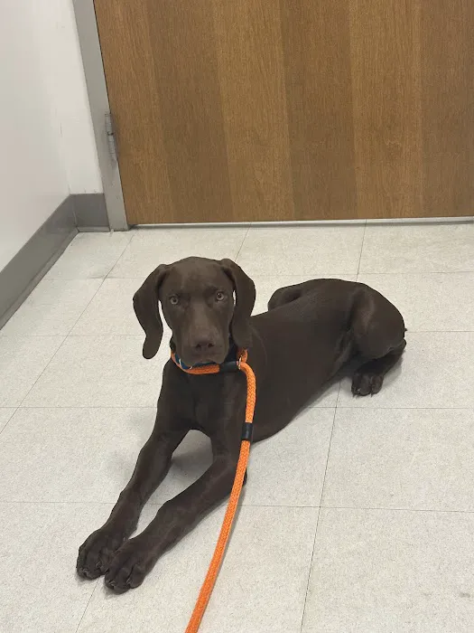Walnut Grove Animal Clinic 2