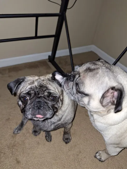 Walnut Grove Animal Clinic 9