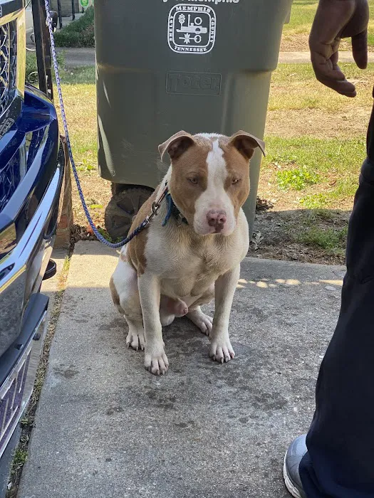 Walnut Grove Animal Clinic 6