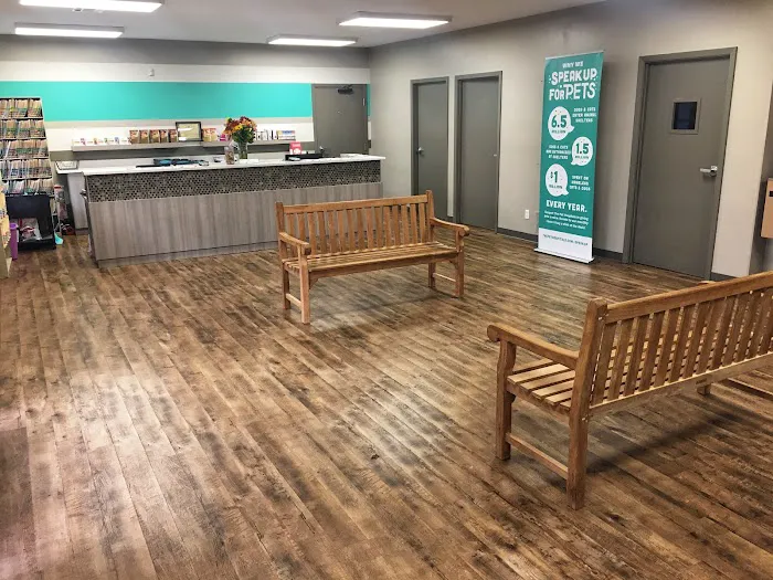 The Pet Hospitals Midtown 12