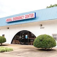 Animal Emergency Center ico