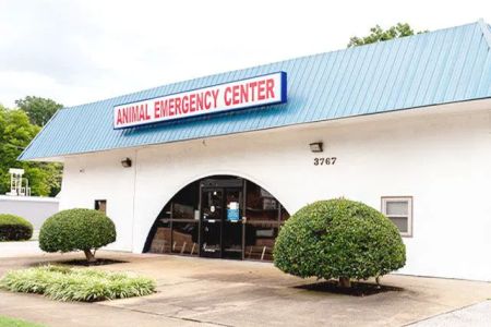Animal Emergency Center