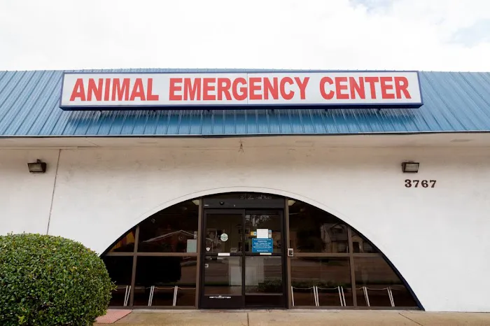 Animal Emergency Center 2
