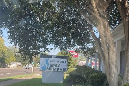 Spay Memphis