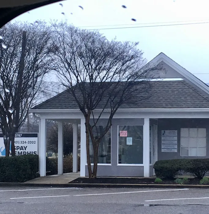 Spay Memphis 12
