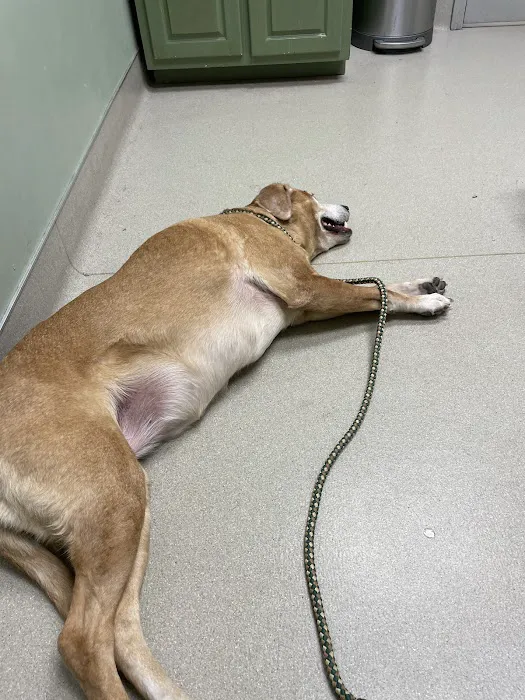 Cloverleaf Animal Clinic 12