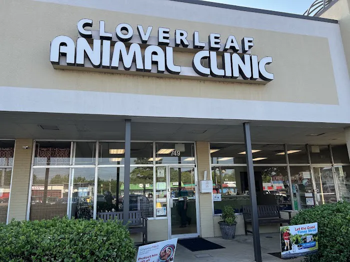 Cloverleaf Animal Clinic 12