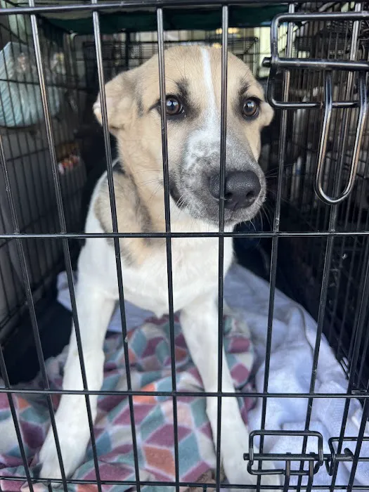 Cloverleaf Animal Clinic 12