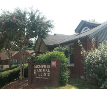 Memphis Animal Clinic