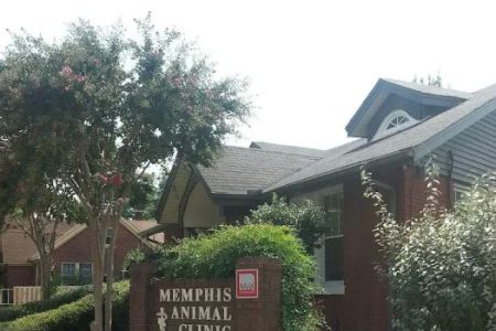 Memphis Animal Clinic