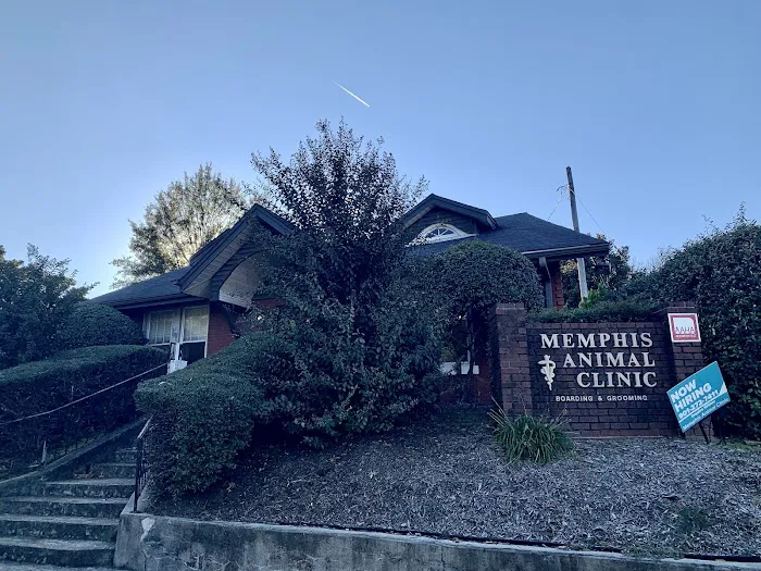 Memphis Animal Clinic 12
