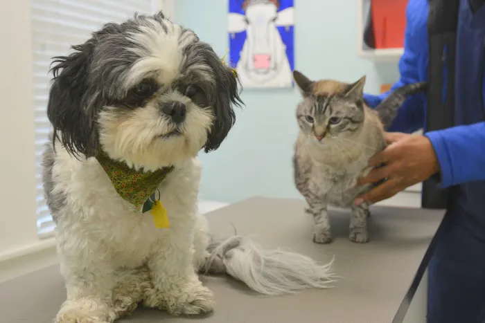 Memphis Animal Clinic 12