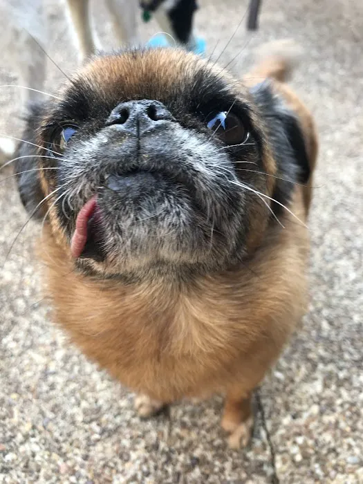 Memphis Animal Clinic 12
