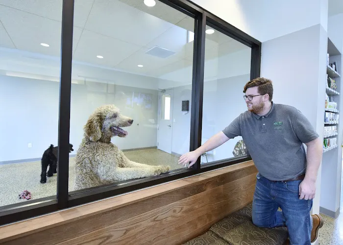 Central Animal Hospital 12