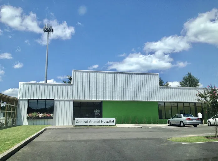 Central Animal Hospital 12