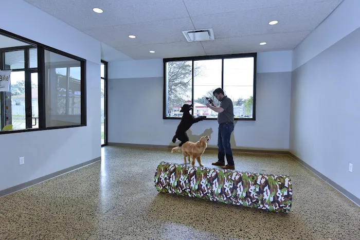 Central Animal Hospital 12