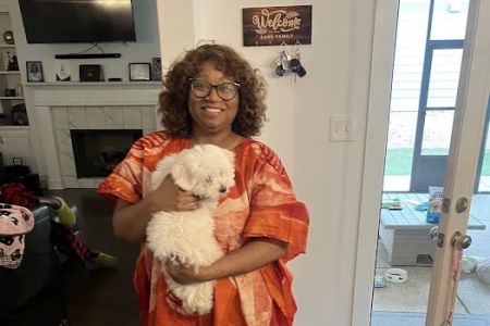Wolfchase Animal Hospital