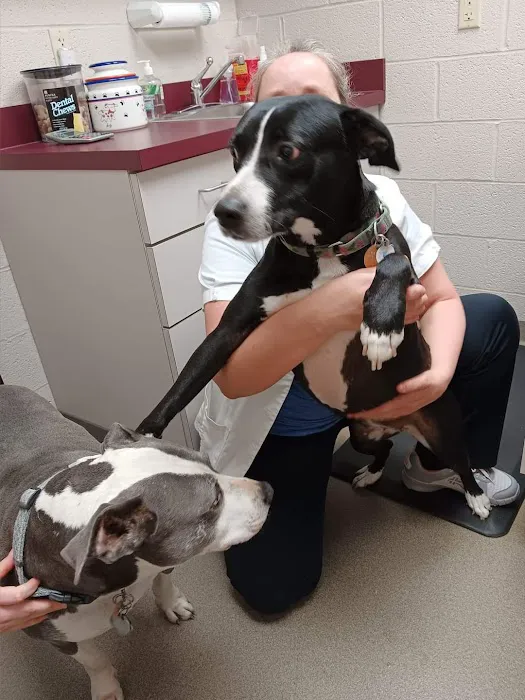 Wolfchase Animal Hospital 12