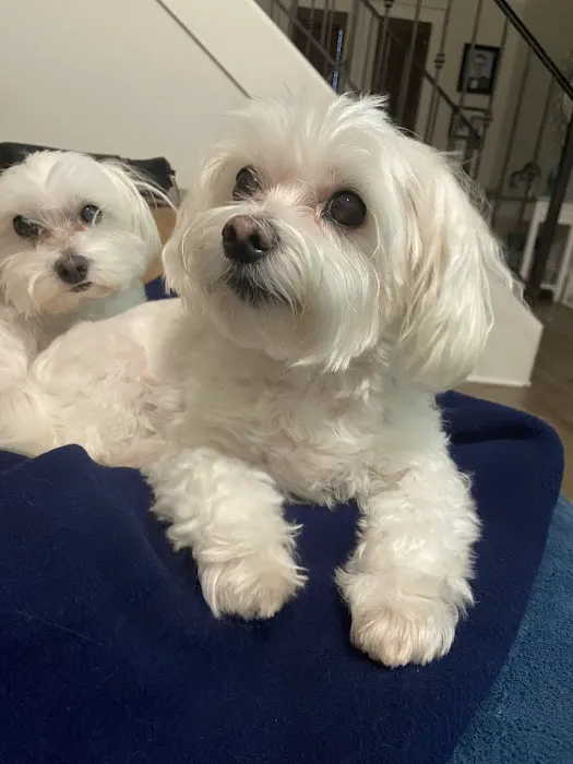 Banfield Pet Hospital 12