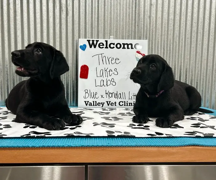 Valley Veterinary Clinic 1