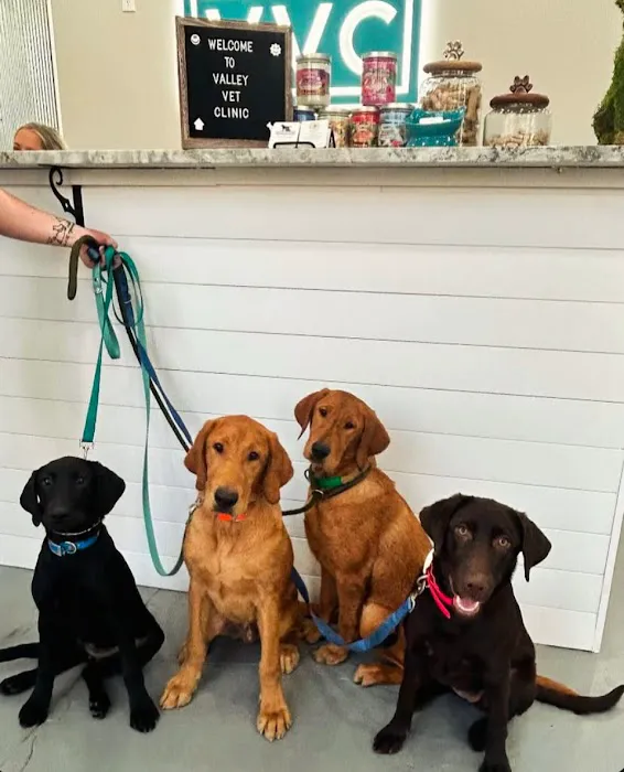 Valley Veterinary Clinic 2