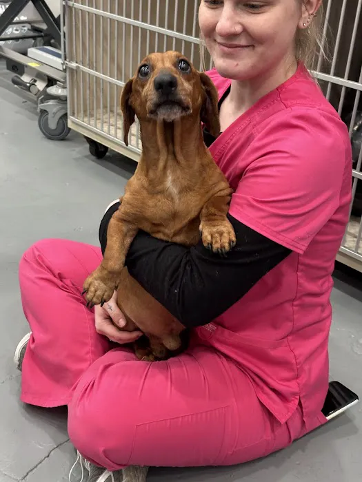 Valley Veterinary Clinic 4