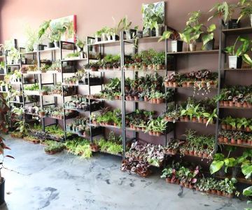 Flora Fauna WF