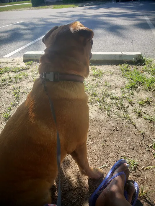 Burke County Animal Hospital 12