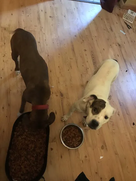 Burke County Animal Hospital 12