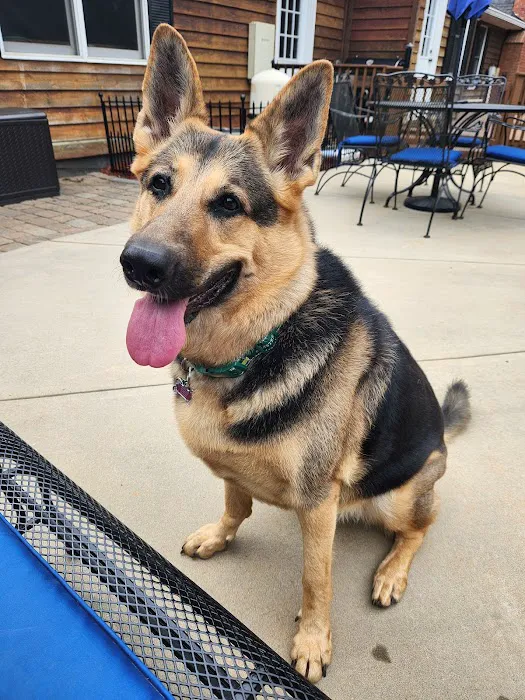 Burke County Animal Hospital 12