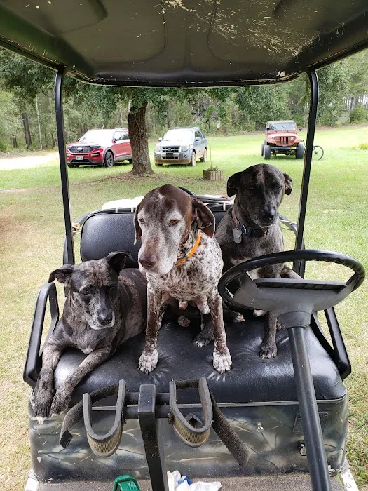 Ogeechee Veterinary Associates PC 12